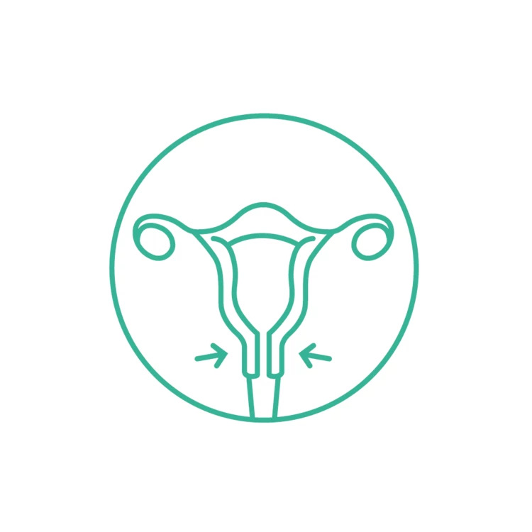 Illustratie soorten BHK